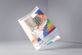 Rapporto di efficienza gruppi frigo Emilia R